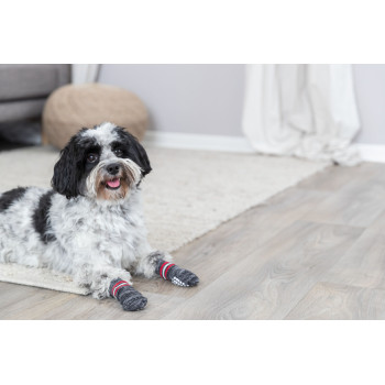 Chaussettes pour chiens XXS-XS