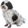 Calcetines para perros L