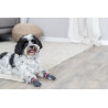 Socks for dogs L