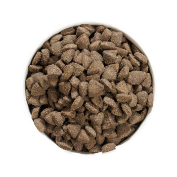 OWNAT PRIME Grain Free Adult sans céréales à l'agneau pour chien adulte 12kg