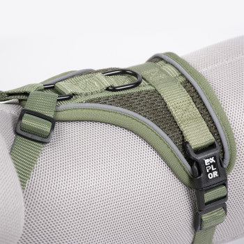 Explor harness classic green M - 35-60cm - 57-80cm