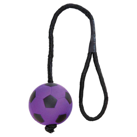 Bola de Futebol roxa em corda