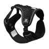 Explore harness classic black granite M - 35-60cm - 57-80cm