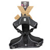 Explore harness classic black granite M - 35-60cm - 57-80cm