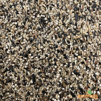 Seed mix for American and European Tarins 1kg - Hoebre