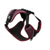 Explor harness fashion plum purple M - 40-49cm - 49-65cm