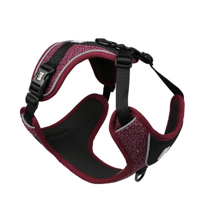 Explor harness fashion plum purple XL - 52-66cm - 71-104cm