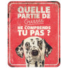 Dalmatisch waarschuwingsbord - 25x20x0.3cm