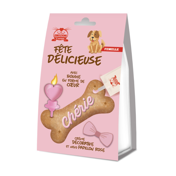 Biscuit d'anniversaire en forme d'os pour chien femelle