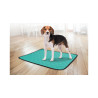 Washable green patsy training mat for dogs - M - Flamingo