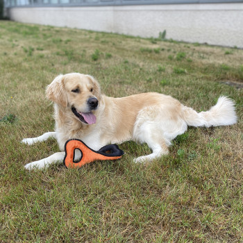 Juguete para tirar para perros - Trenza de Guerra - naranja - 31x15,5x15cm