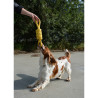 Rope Pull Toy for Dogs - Tug Life - Yellow - 52cm