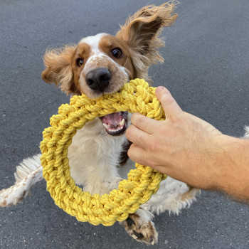 Anneau en coton tressée pour chiens - jaune - Da Chain - 18cm