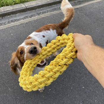 Anel de algodão trançado para cães - amarelo - Da Chain - 18cm