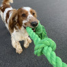 Baumwollseil mit fünf geflochtenen Knoten für Hunde - Grün - Zahnseide - 120cm