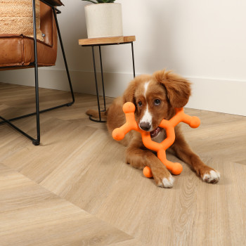 Dog toy - orange - Dawg Science - 27x24x2,5cm - L