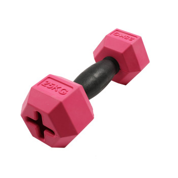 Kurzhantel für Hunde - schwarz/lila - For the gainz - 18x6x6cm - L