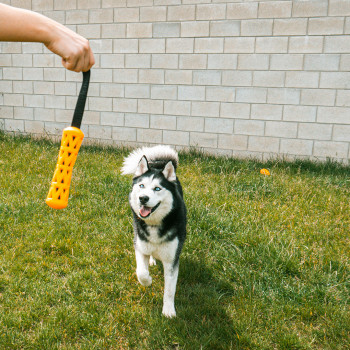 Rubber stick for dogs - orange/black - Crack me up - 42x6,3x6,3cm - L