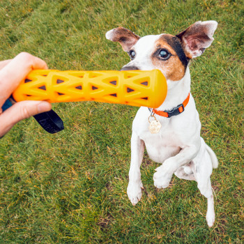 Rubber stick for dogs - orange/black - Crack me up - 42x6,3x6,3cm - L