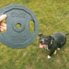 Dumbbell for dogs - black - For the gainz - 22,8x22,8x1,7cm