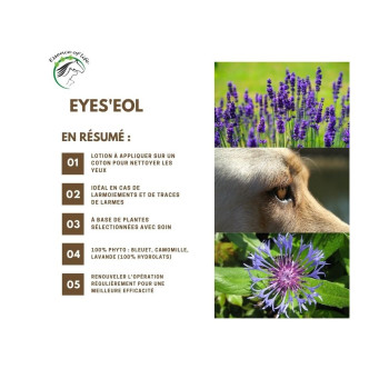 Eyes'eol 100ml - Hydrosol-only Eye Cleansing Lotion