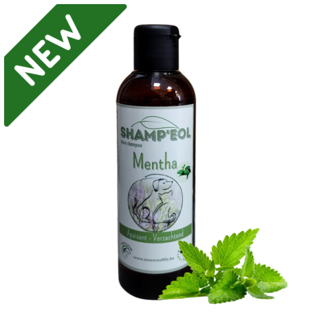 Shamp'eol Mentha 200ml - Essence of Life