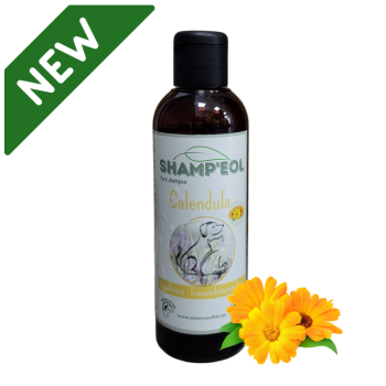 Calendula Shampoo 200ml - Essence of Life