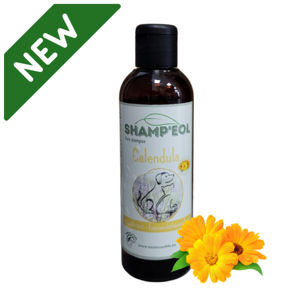 Calendula Shampoo 200ml - Essence of Life