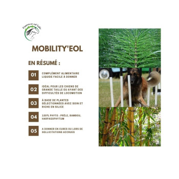 Mobility'eol 150ml - Apoia a mobilidade - Essência da Vida