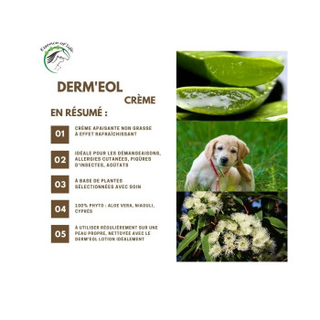 Derm'eol Cream 100ml - For itching - Essence of Life