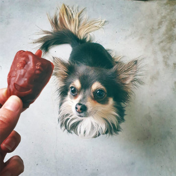 Garden Bites Veggie Friends Gemischte Farben 3Stk