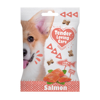 Salmon Snack 100g - Tender Loving Care