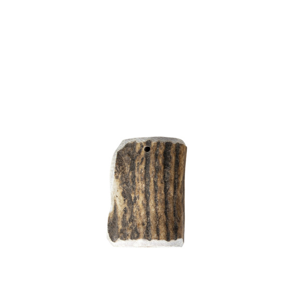 Red Deer Antler for Dogs - S