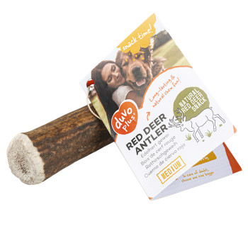 Red Deer Antler for Dogs - S