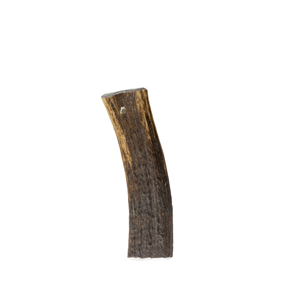 Red Deer Antler for Dogs - M