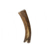 Red Deer Antler for Dogs - L