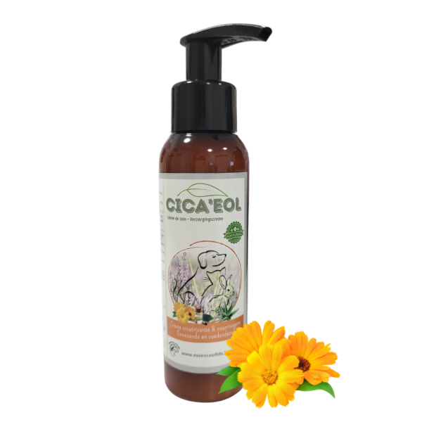 Cica'eol Cream 100ml - Healing Ointment - Essence of Life