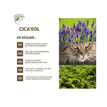 Cica'eol Crema 100ml - Pomata cicatrizzante - Essenza della Vita