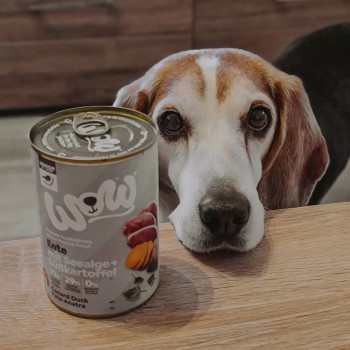 Seniors Duck 150g - Nassfutter für ältere Hunde - Wow