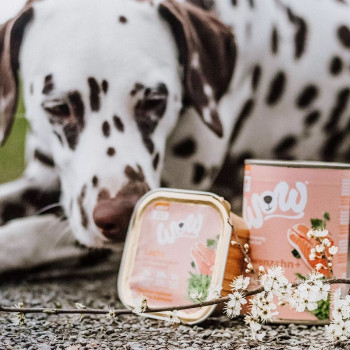 Adult Salmon 150g - Nassfutter für Hunde - Wow