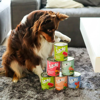 Adult Multipack 6x800g - Natvoer voor honden - Wow