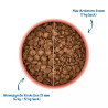 Adult Boeuf 12kg - Croquettes pour chiens - Wow