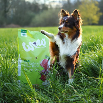 Adult Beef 12kg - Trockenfutter für Hunde - Wow