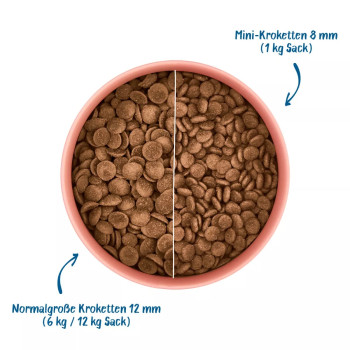 Volwassen vis 1kg - Droog hondenvoer - Wow