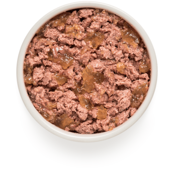 Lamb & Turkey 400g - Adult - Wet Food - Grandorf