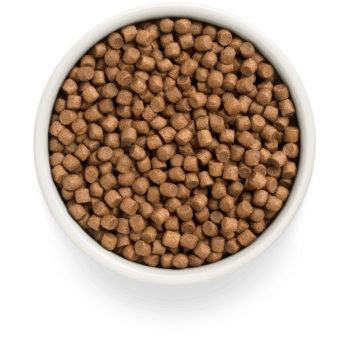 Vers Lam en Zoete Aardappel 1kg - Vers - Puppy - Grandorf