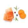 Frisches Lachs- und Süßkartoffelfilet 3kg - Frisch - Adult Mini - Grandorf