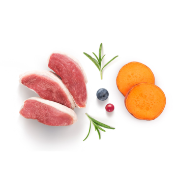 Canard frais et patate douce 1kg - Fresh - Adult Mini - Grandorf