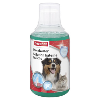 Mouthwash 250ml