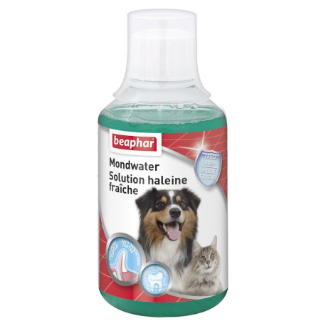 Mouthwash 250ml